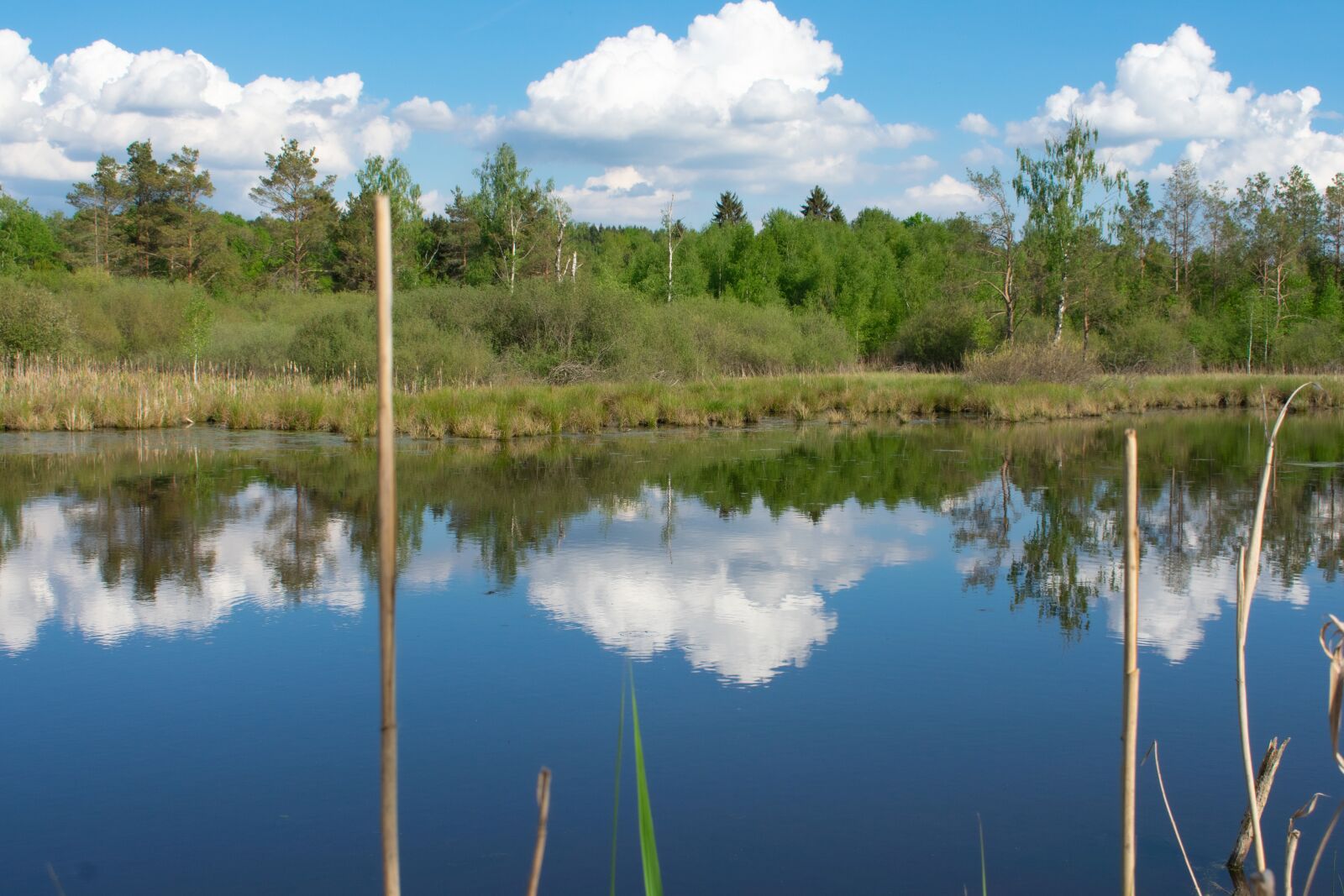 Nikon D3400 sample photo. Landscape, mirror, reflection photography