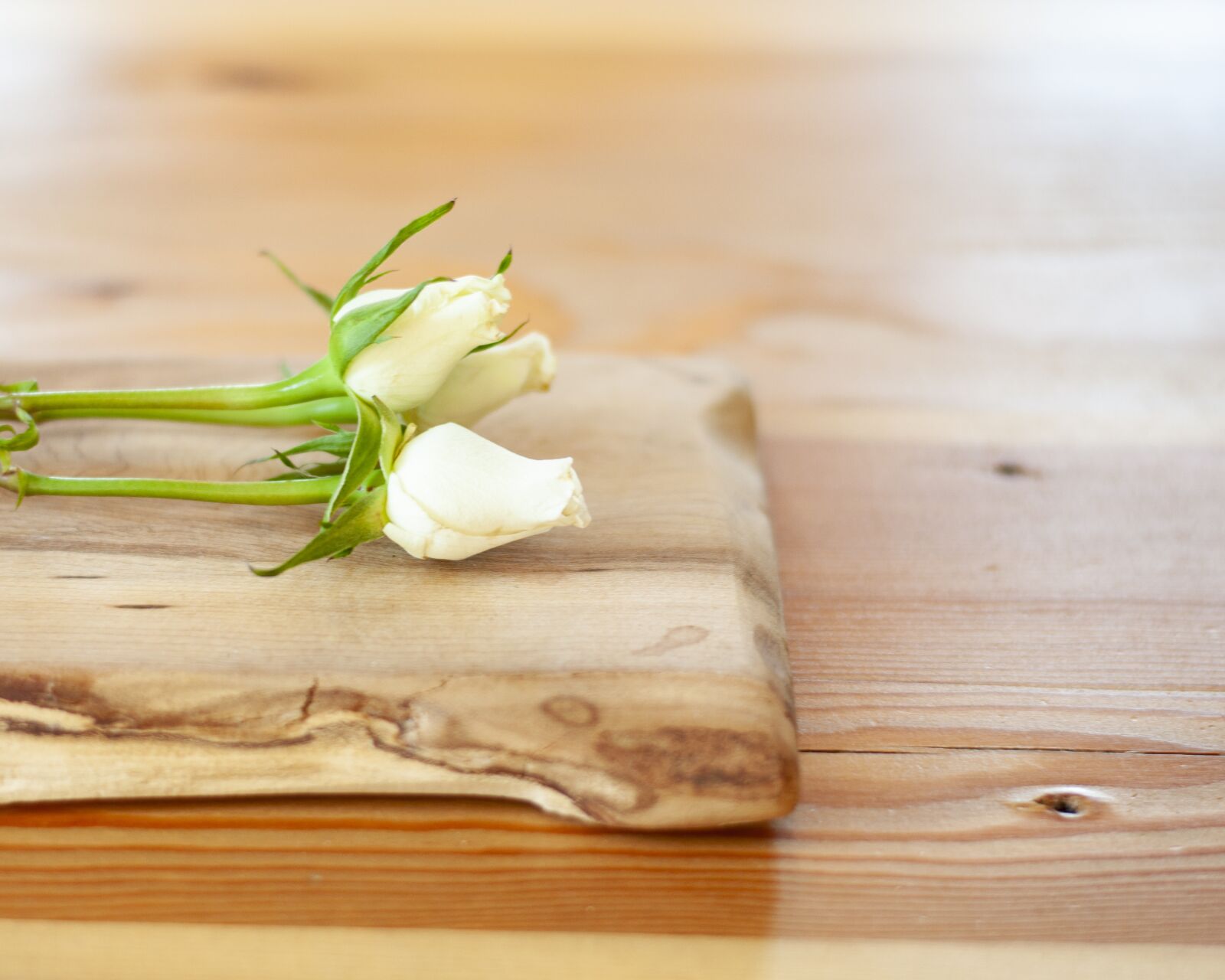 Nikon D5000 sample photo. Rosebud, wooden, elements photography