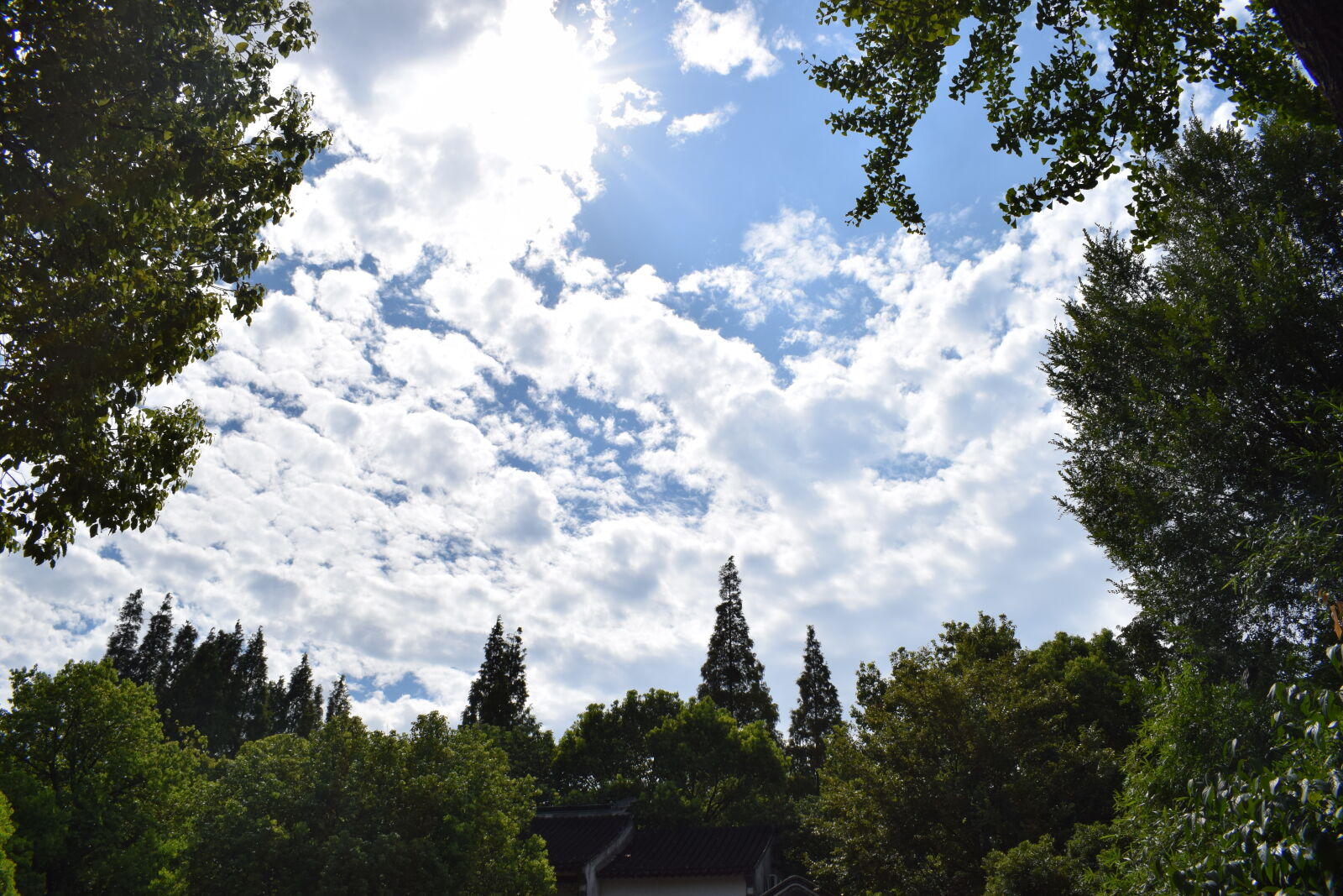 Nikon D5300 sample photo. Blue, sky, clouds, nature photography