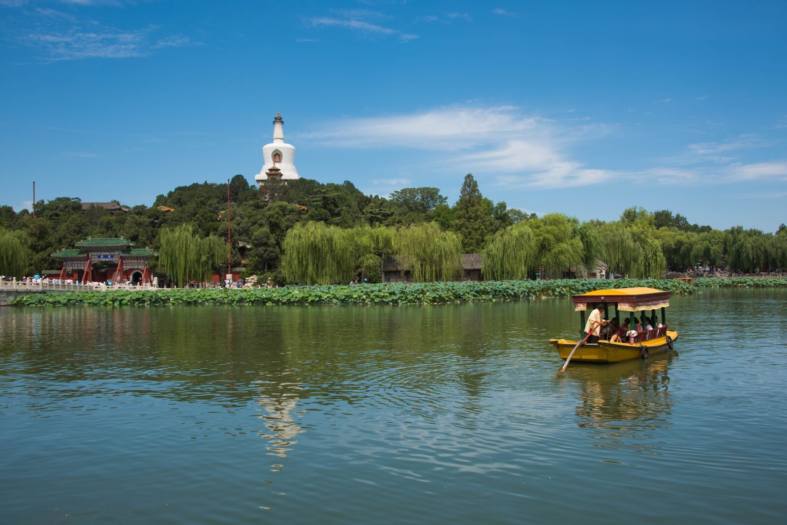 Nikon D810 sample photo. Beihai park, beijing, spring photography