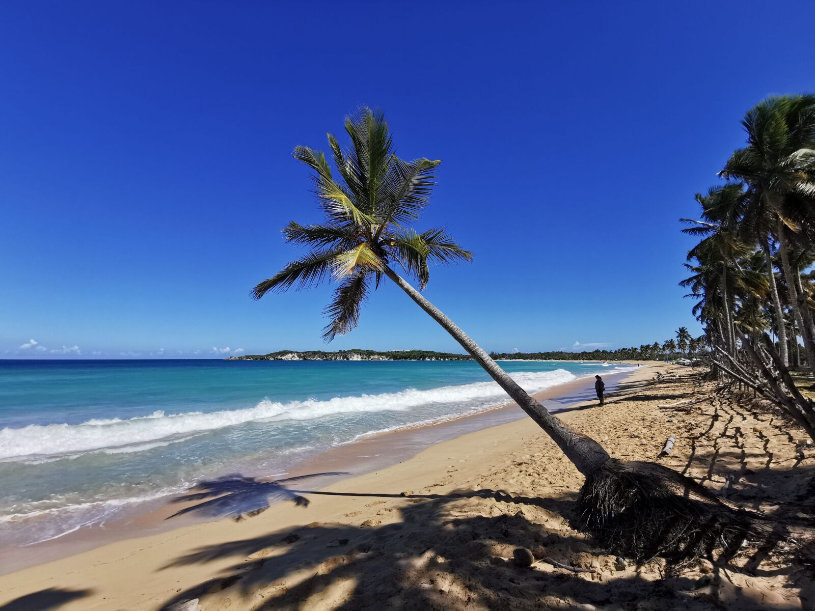 HUAWEI P30 Pro sample photo. Dominicanrepublic, republicadominicana, dominikana photography