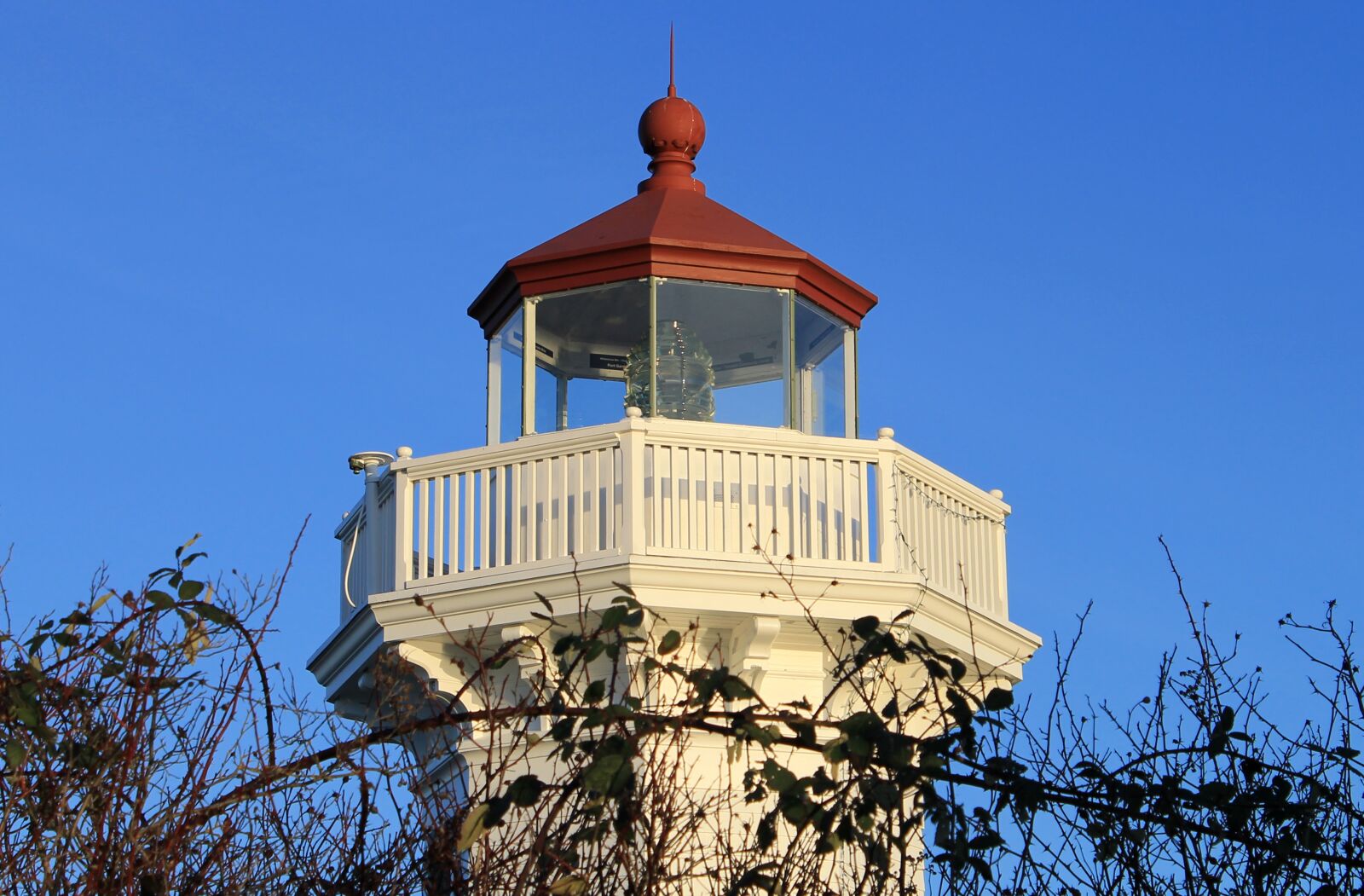 Canon EOS 1100D (EOS Rebel T3 / EOS Kiss X50) sample photo. Lighthouse, sky, vines photography
