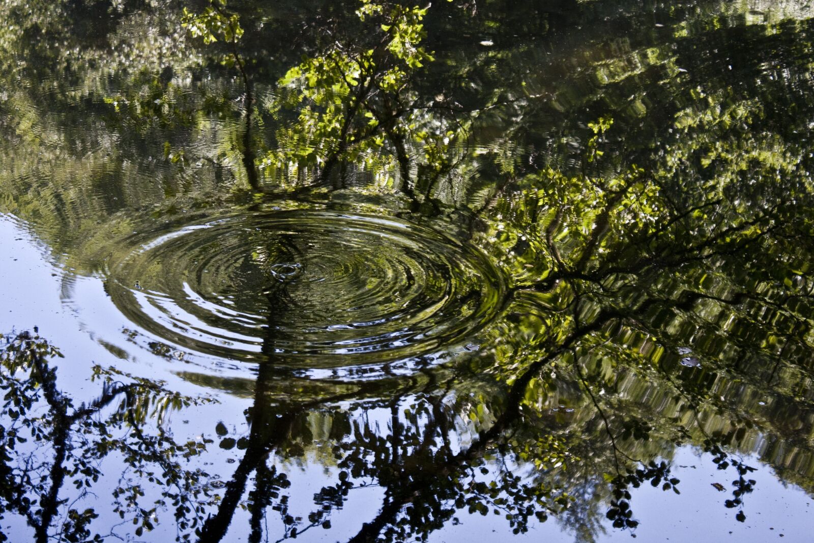 Canon EOS 500D (EOS Rebel T1i / EOS Kiss X3) sample photo. Lake, reflection, wave photography