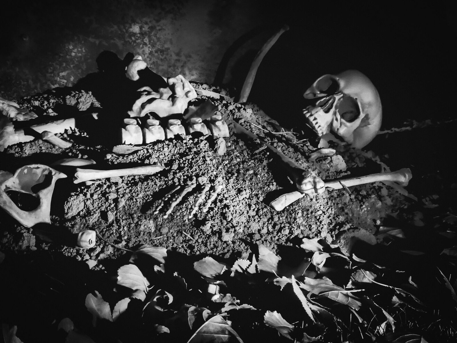 Panasonic Lumix DMC-FZ300 sample photo. Halloween, skeleton, spooky photography