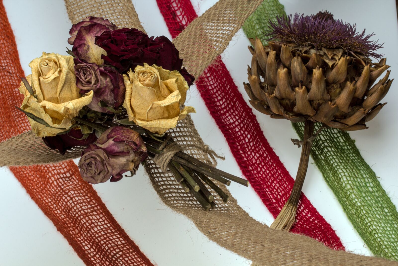 Canon EF-S 60mm F2.8 Macro USM sample photo. Dried flowers, roses, diestel photography