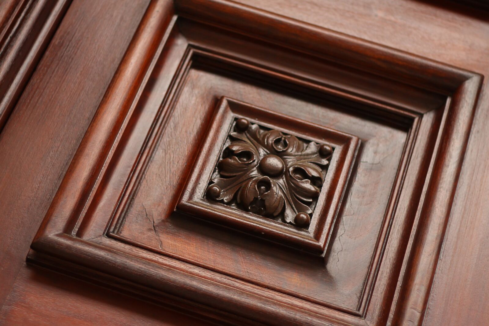Canon EOS 1100D (EOS Rebel T3 / EOS Kiss X50) + Canon EF 50mm F1.8 II sample photo. Wood, decor, tree photography