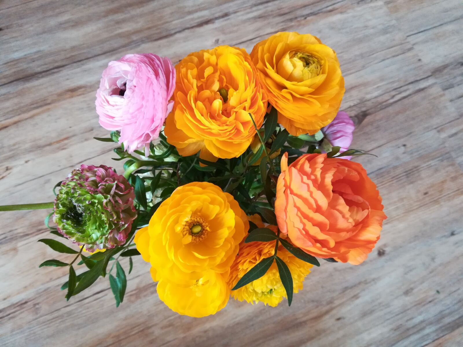 HUAWEI P10 lite sample photo. Flower, leaf, bouquet photography