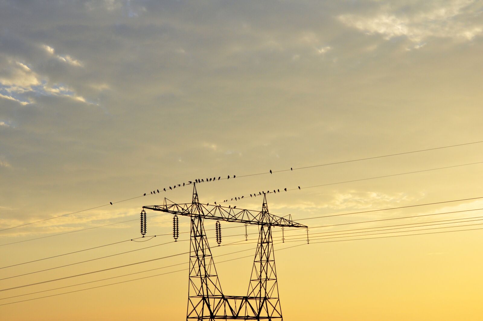 Nikon D90 sample photo. Pole, morning, the sun photography