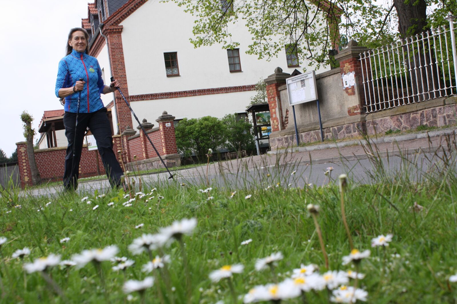 Canon EOS 1000D (EOS Digital Rebel XS / EOS Kiss F) sample photo. Daisy, hiking, leipzig photography