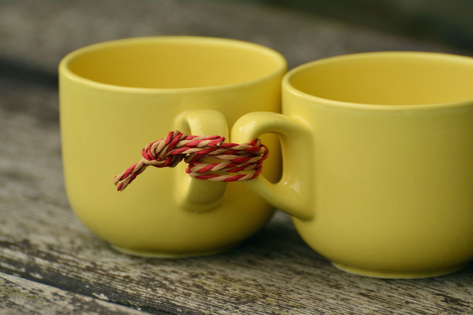 Nikon D5200 sample photo. T, for two, together photography