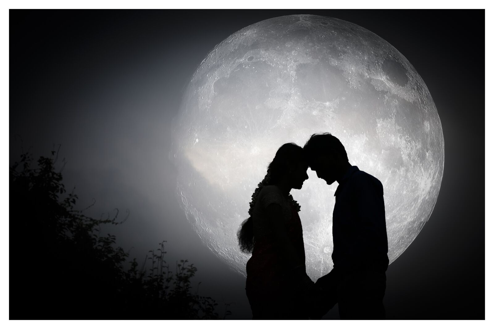 Canon EOS 6D + Canon EF 24-105mm F4L IS USM sample photo. Wedding, outdoor, moon photography