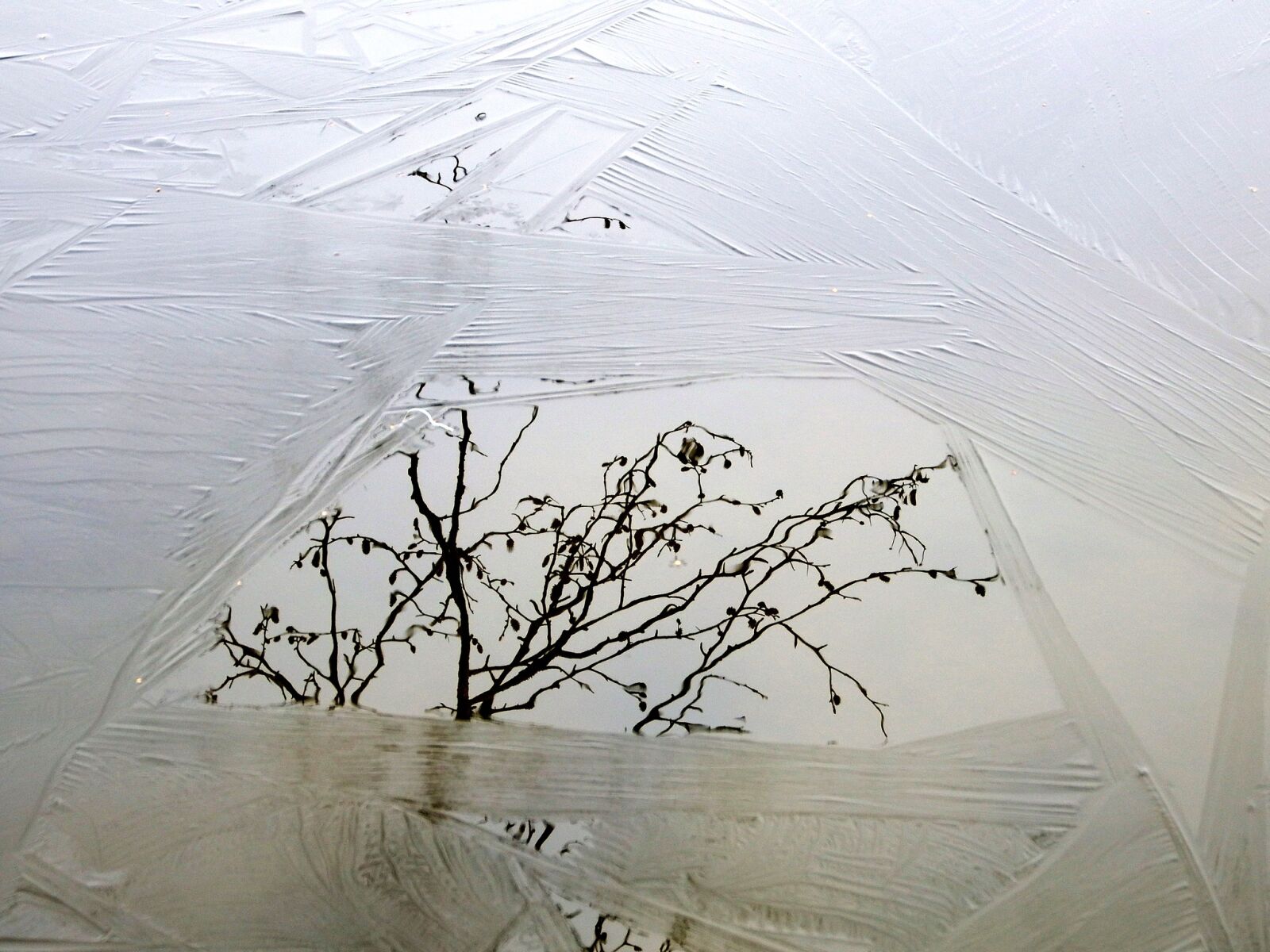 Fujifilm FinePix S1 sample photo. Lake, ice, freezing photography
