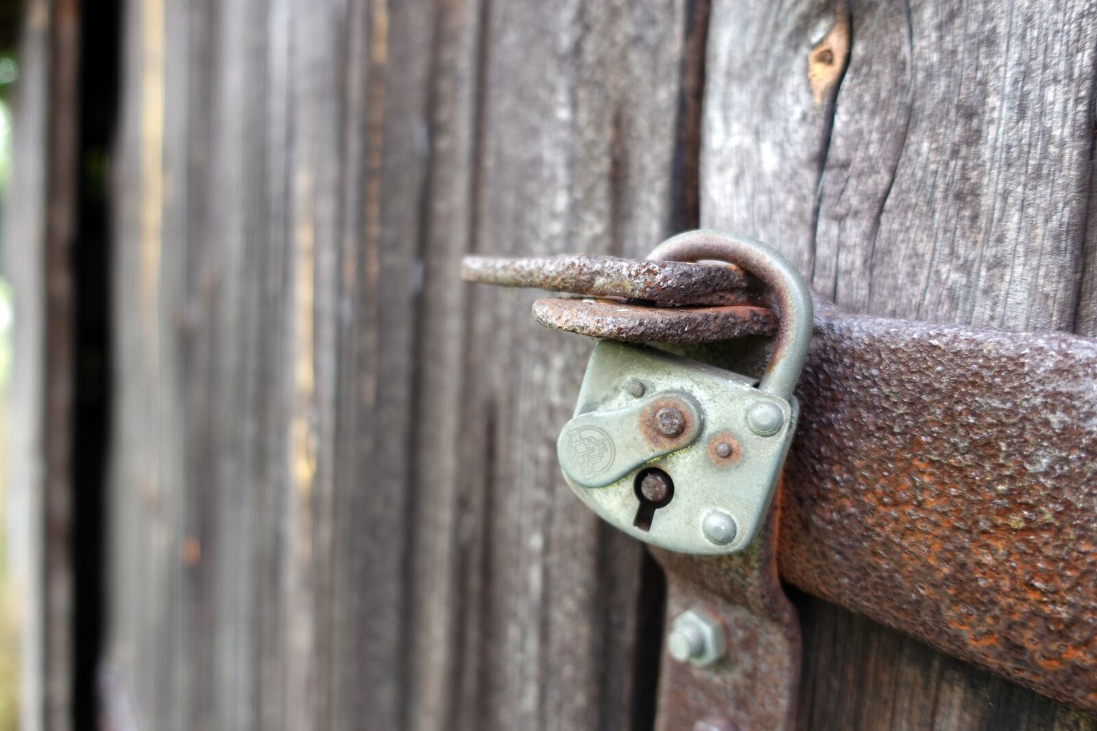 Sony DSC-RX100M5A sample photo. Padlock, alu-castle, iron photography