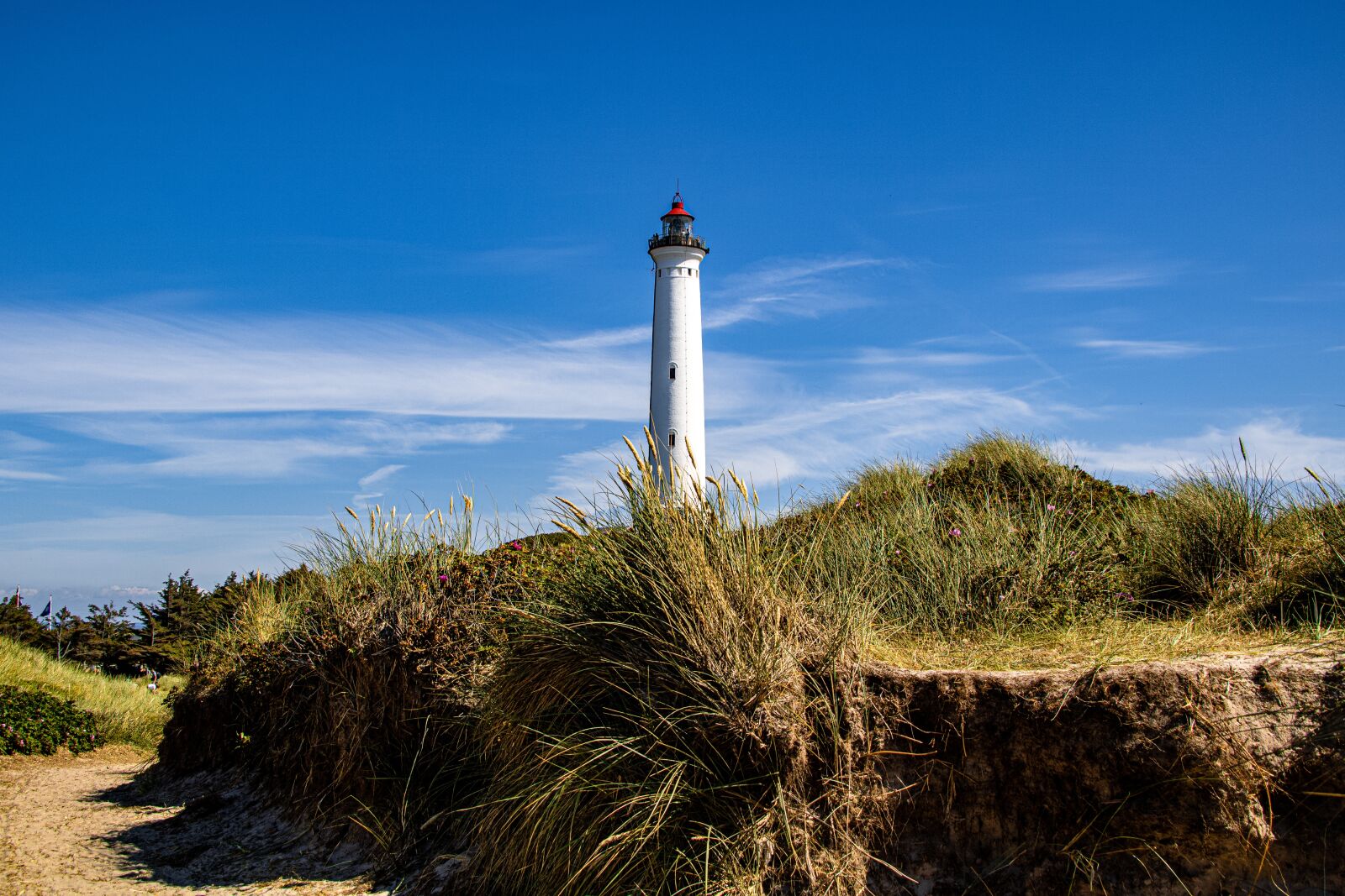 Canon EOS 750D (EOS Rebel T6i / EOS Kiss X8i) + Canon TS-E 90mm F2.8 Tilt-Shift sample photo. Lyngvig, lighthouse, sky photography