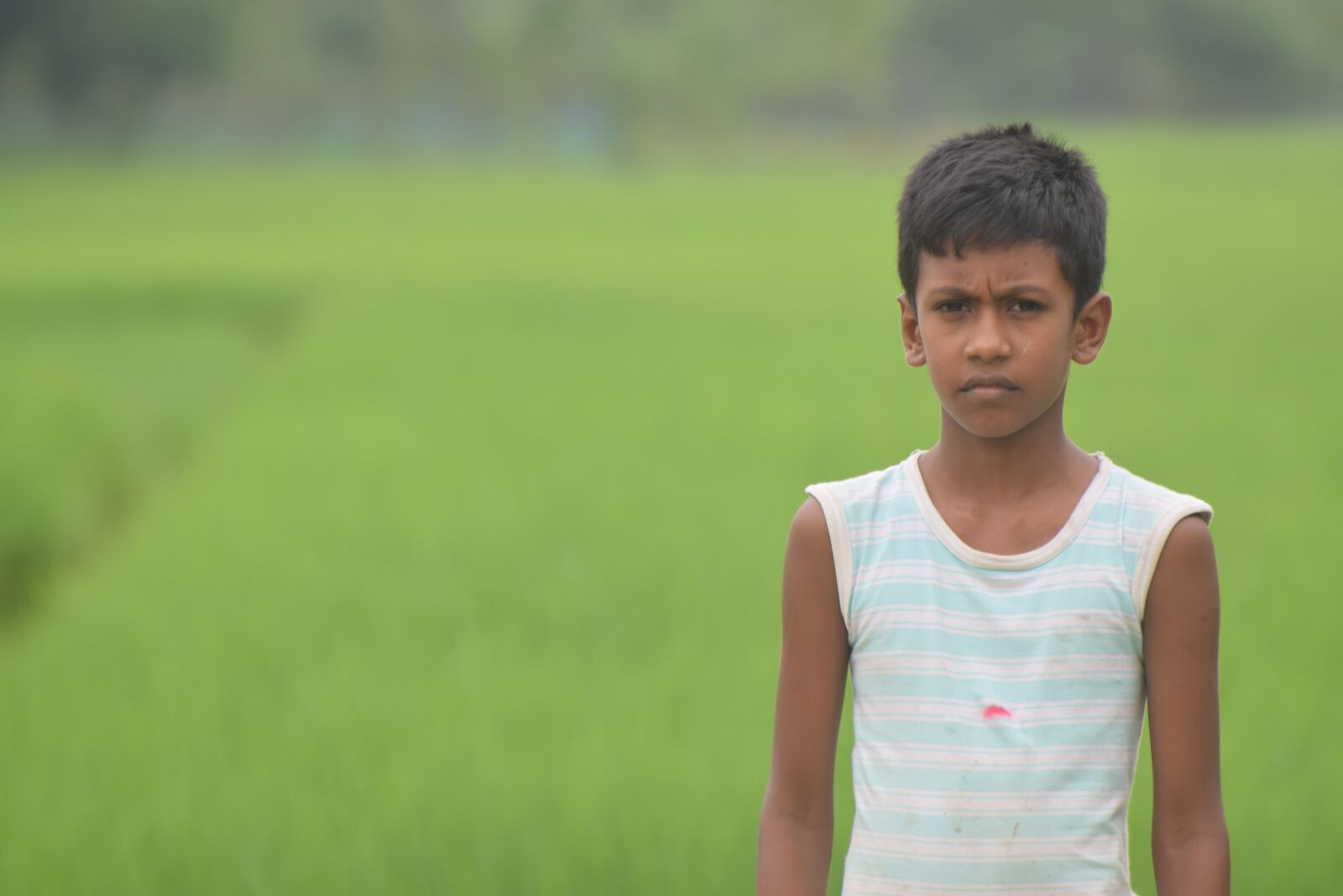 Nikon D5300 sample photo. Bangladesh, green, boy photography