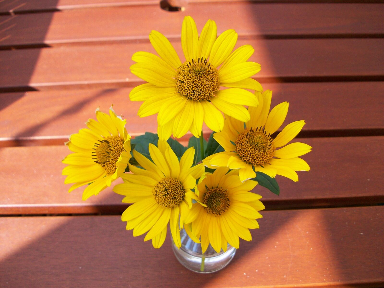 Kodak EASYSHARE M763 DIGITAL CAMERA sample photo. Flowers, summer, beauty photography