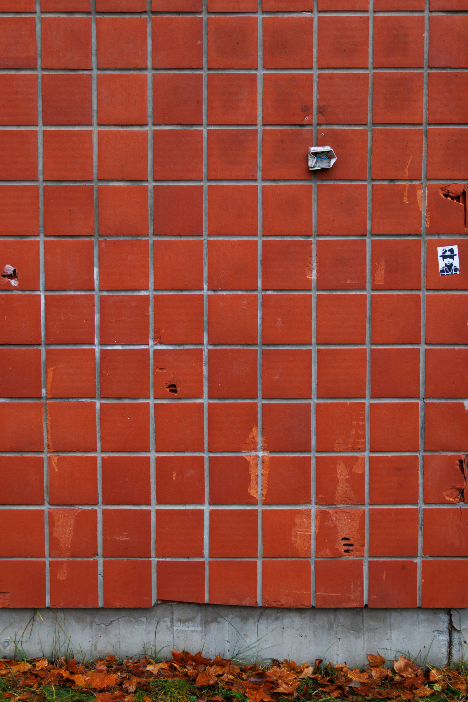 Sigma 30mm F1.4 DC DN | C sample photo. Brickwall wall photography