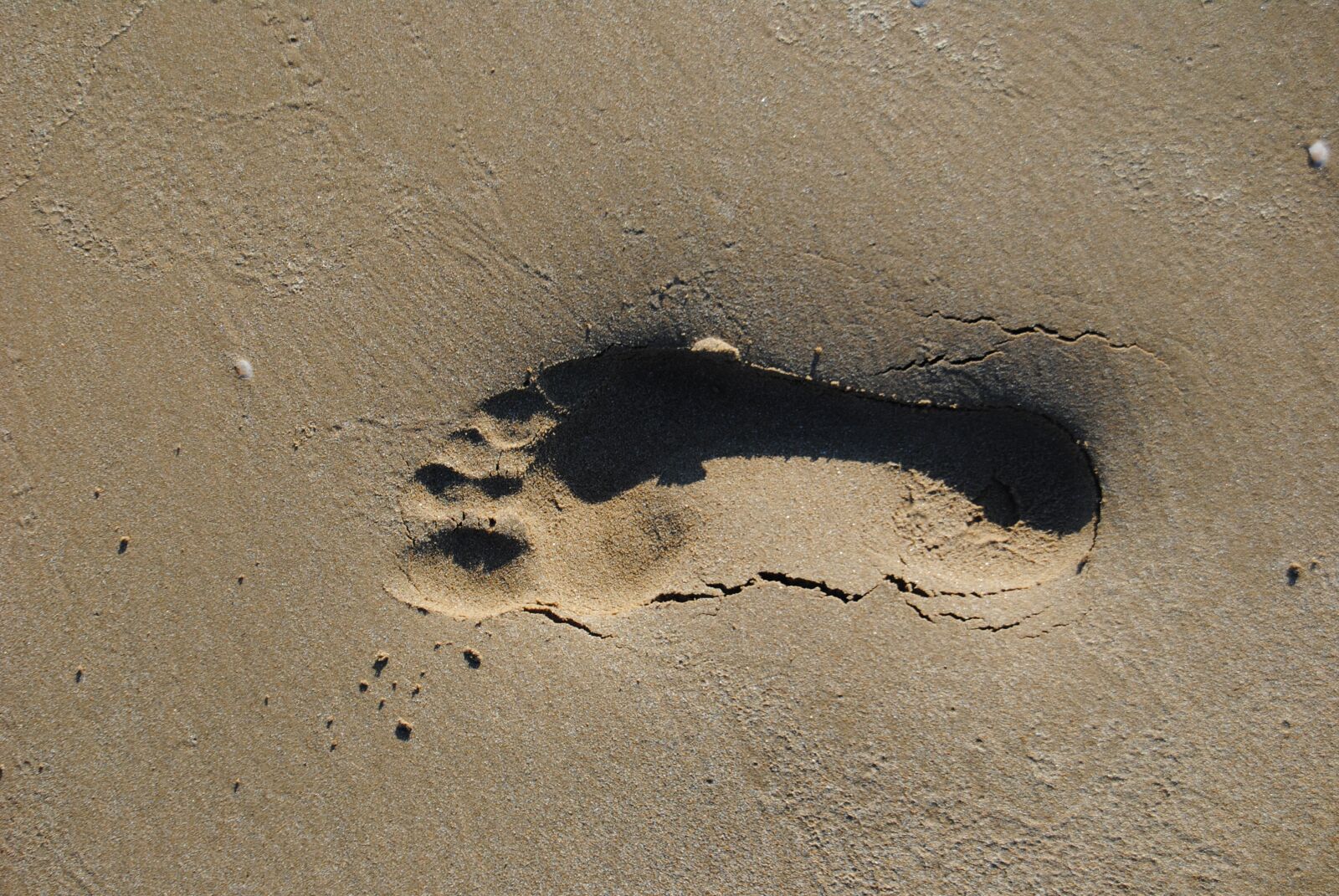 Nikon D3000 sample photo. Footprint, beach, cadiz photography
