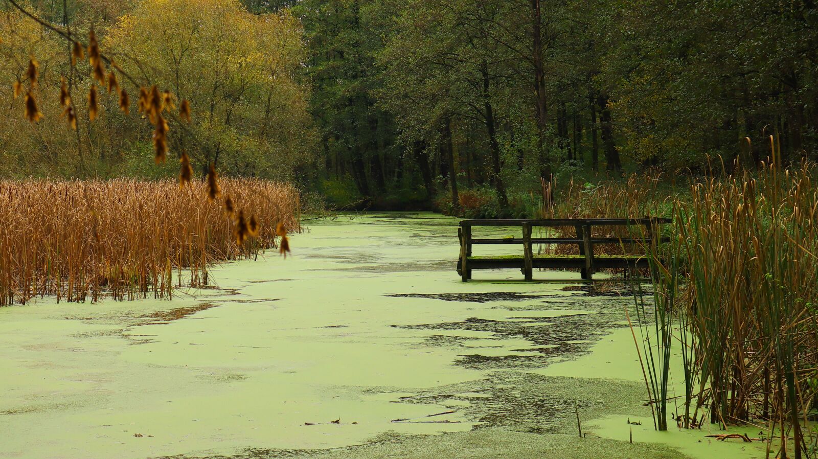 Canon EF-M 15-45mm F3.5-6.3 IS STM sample photo. Landscape, autumn, lake photography