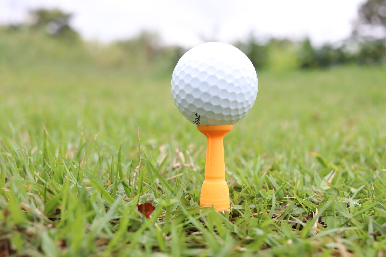 Canon EF-S 24mm F2.8 STM sample photo. Golf, tee, sport photography