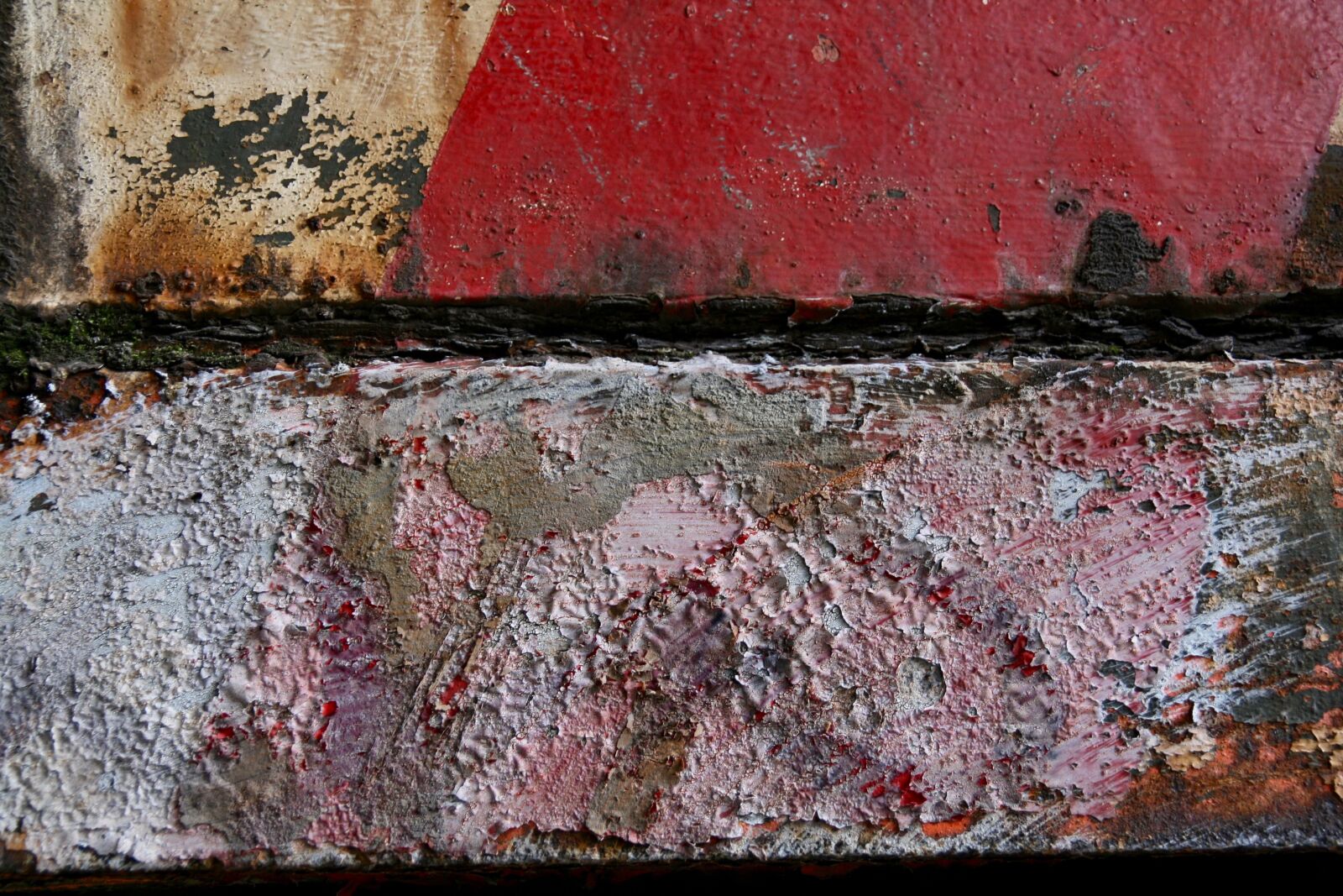 Canon EOS 400D (EOS Digital Rebel XTi / EOS Kiss Digital X) sample photo. Texture, structure, rust photography