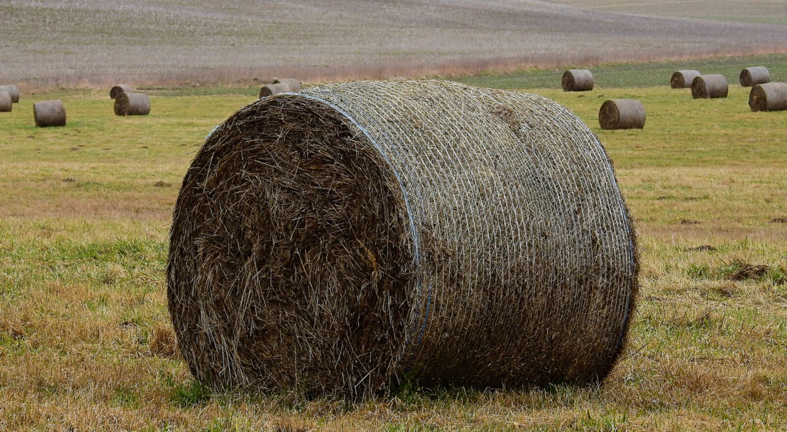 Nikon Coolpix P900 sample photo. Farm, hay, landscape photography