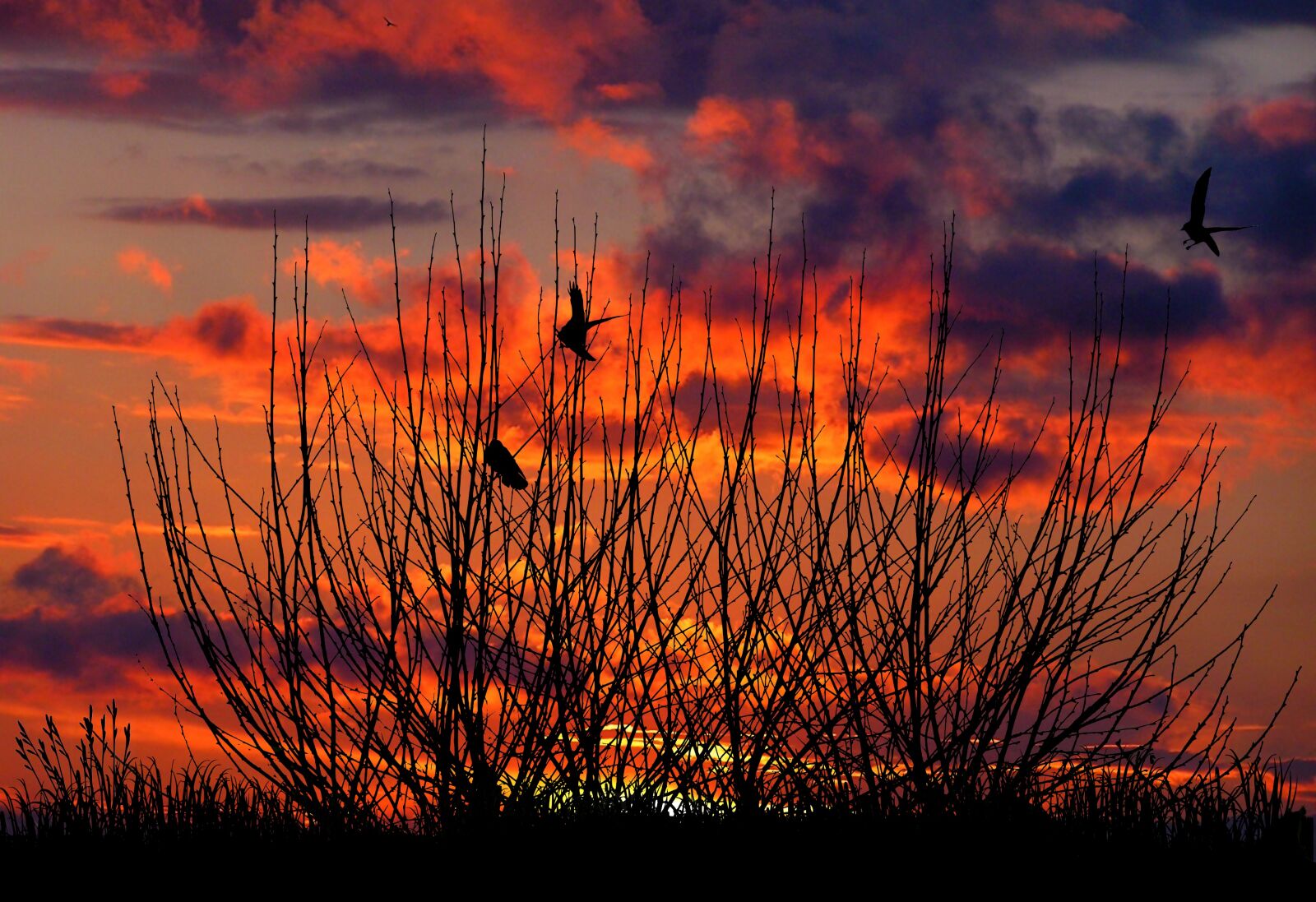 Olympus C760UZ sample photo. Sunset, nature, clouds photography