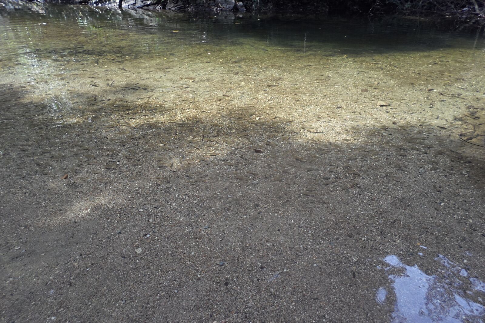 Samsung MV900F sample photo. River, water, nature photography
