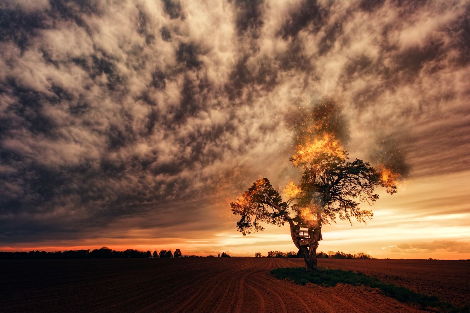Sigma SD15 sample photo. Tree, clouds, fire photography