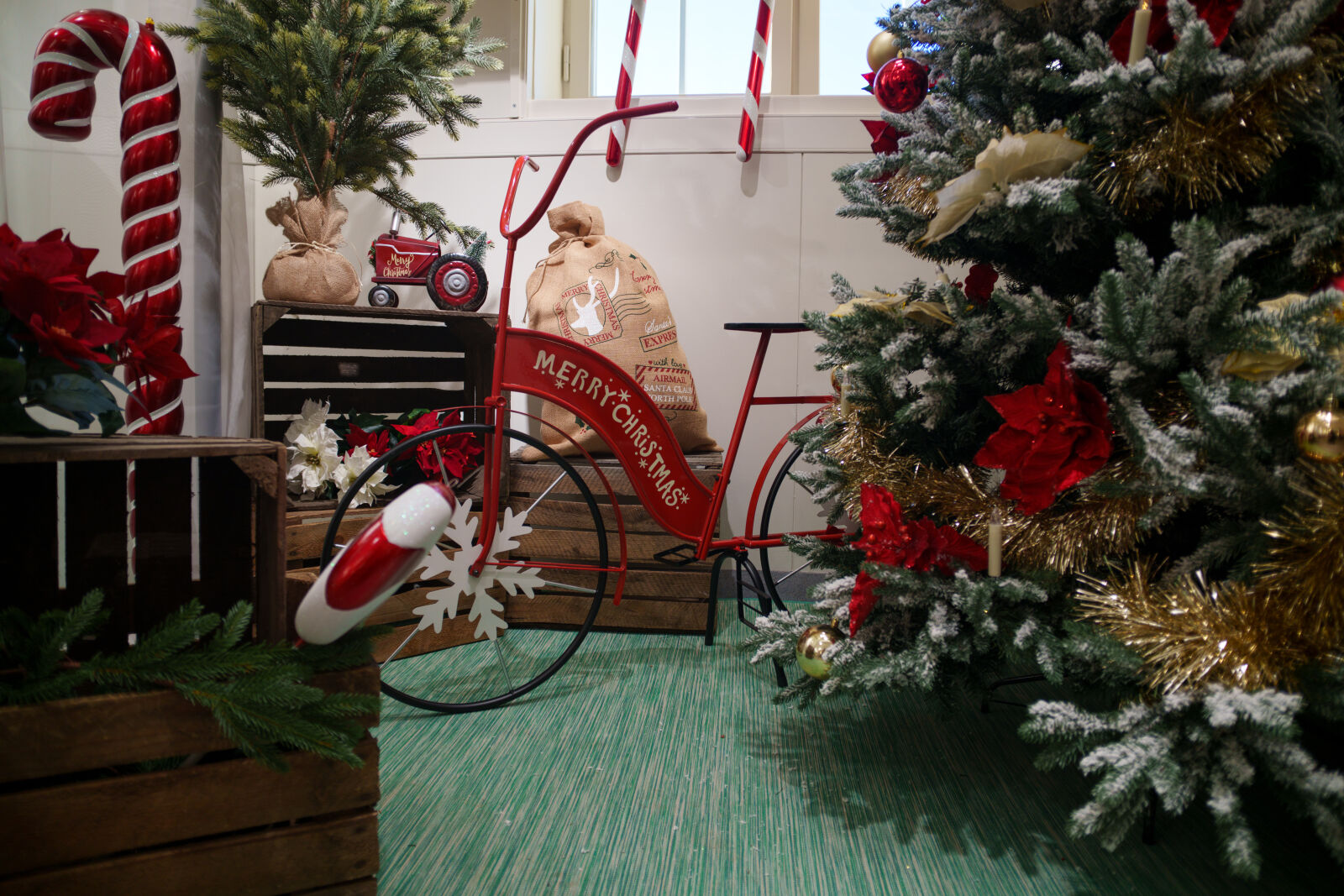Samyang Remaster Slim 21mm F3.5 sample photo. Christmas decoration photography