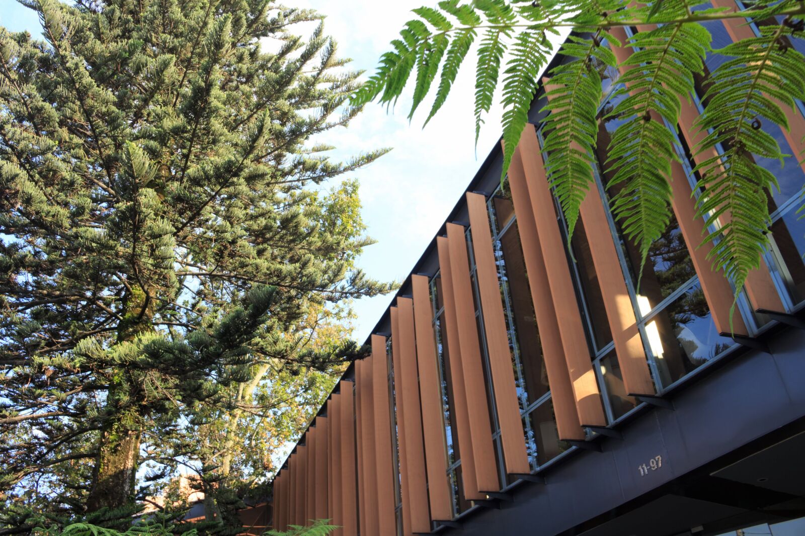Canon EOS 700D (EOS Rebel T5i / EOS Kiss X7i) sample photo. Architecture, nature, geometry photography