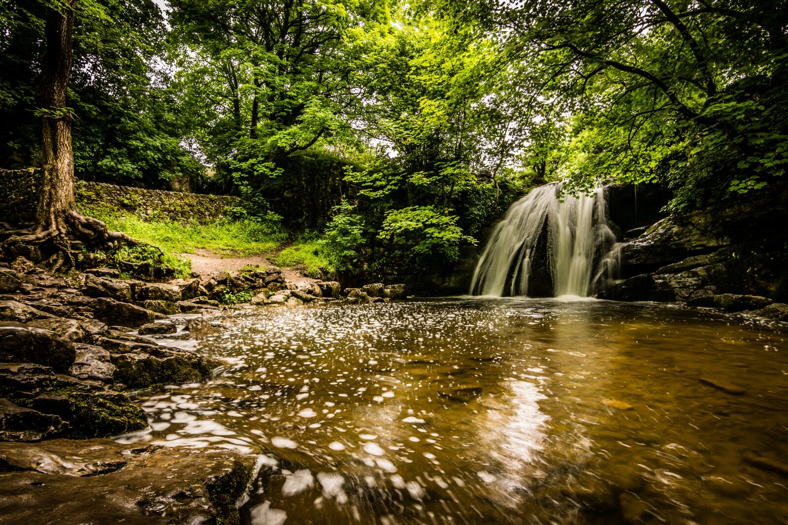Tokina AT-X Pro 11-16mm F2.8 DX II sample photo. Janet's foss, waterfall, malham photography