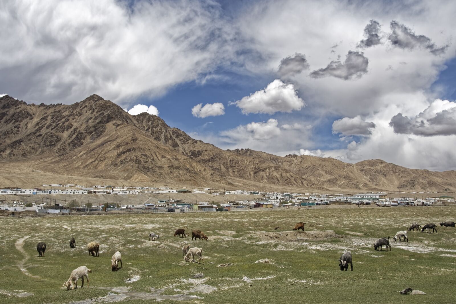 Nikon D500 sample photo. Tajikistan, murgab, the pamir photography