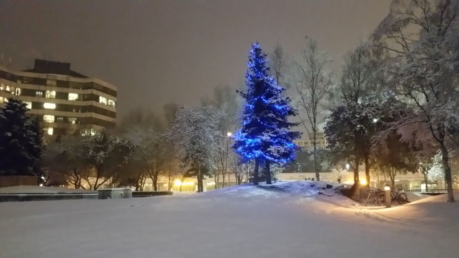 Samsung Galaxy S5 sample photo. Anchorage, tree, christmas photography