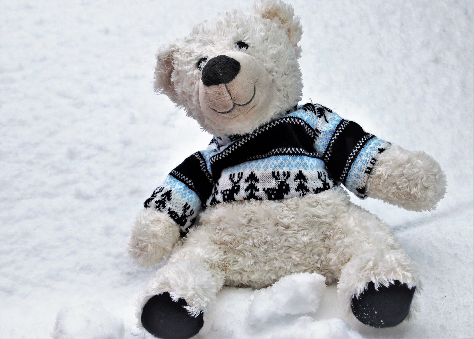 Canon EOS 80D sample photo. Plush, winter, first snow photography