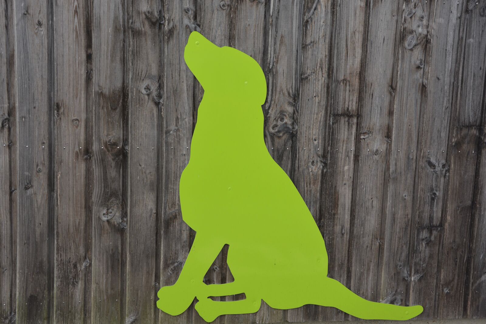 Nikon D5200 sample photo. Decoration, wood, dog painted photography