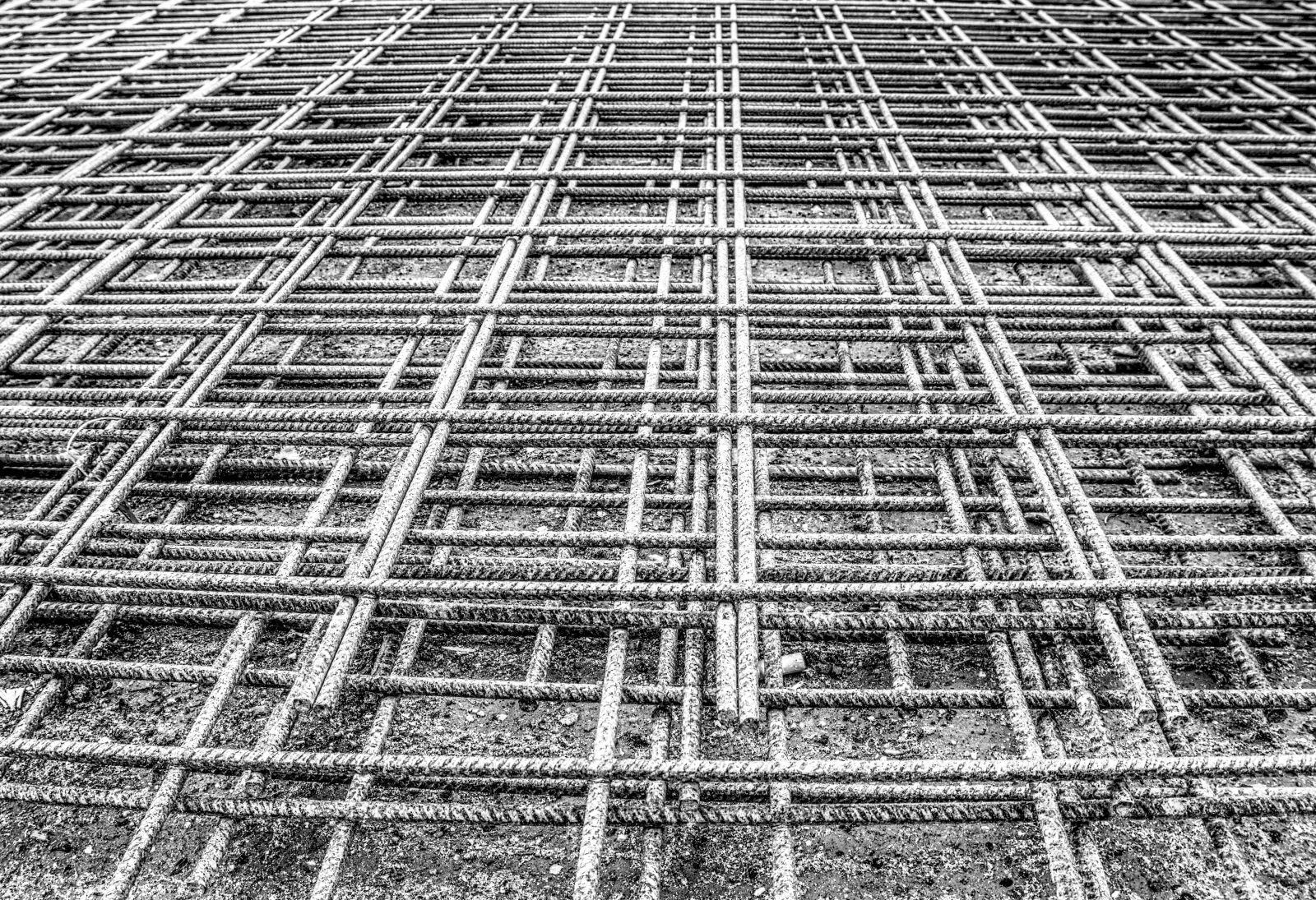Sony a6000 sample photo. Iron railings, grid, mat photography
