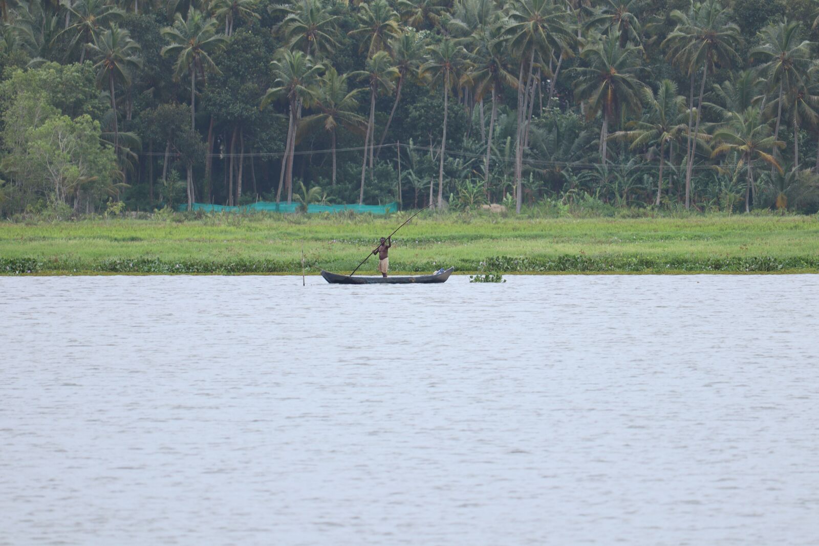 Canon EOS 250D (EOS Rebel SL3 / EOS Kiss X10 / EOS 200D II) sample photo. Kerala, nature, landscape photography
