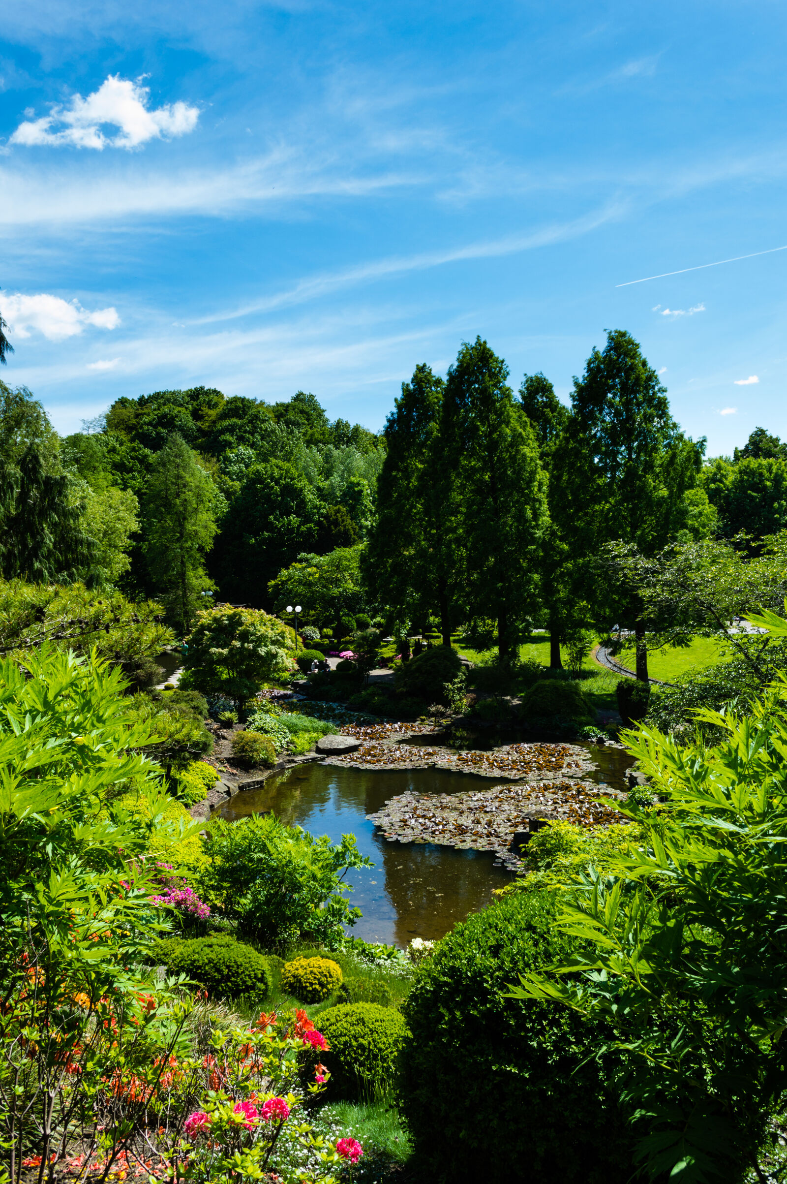 Nikon D3200 sample photo