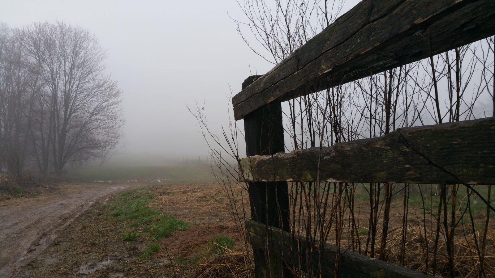 Samsung Galaxy Note4 sample photo. Farm, fence, fog, mud photography