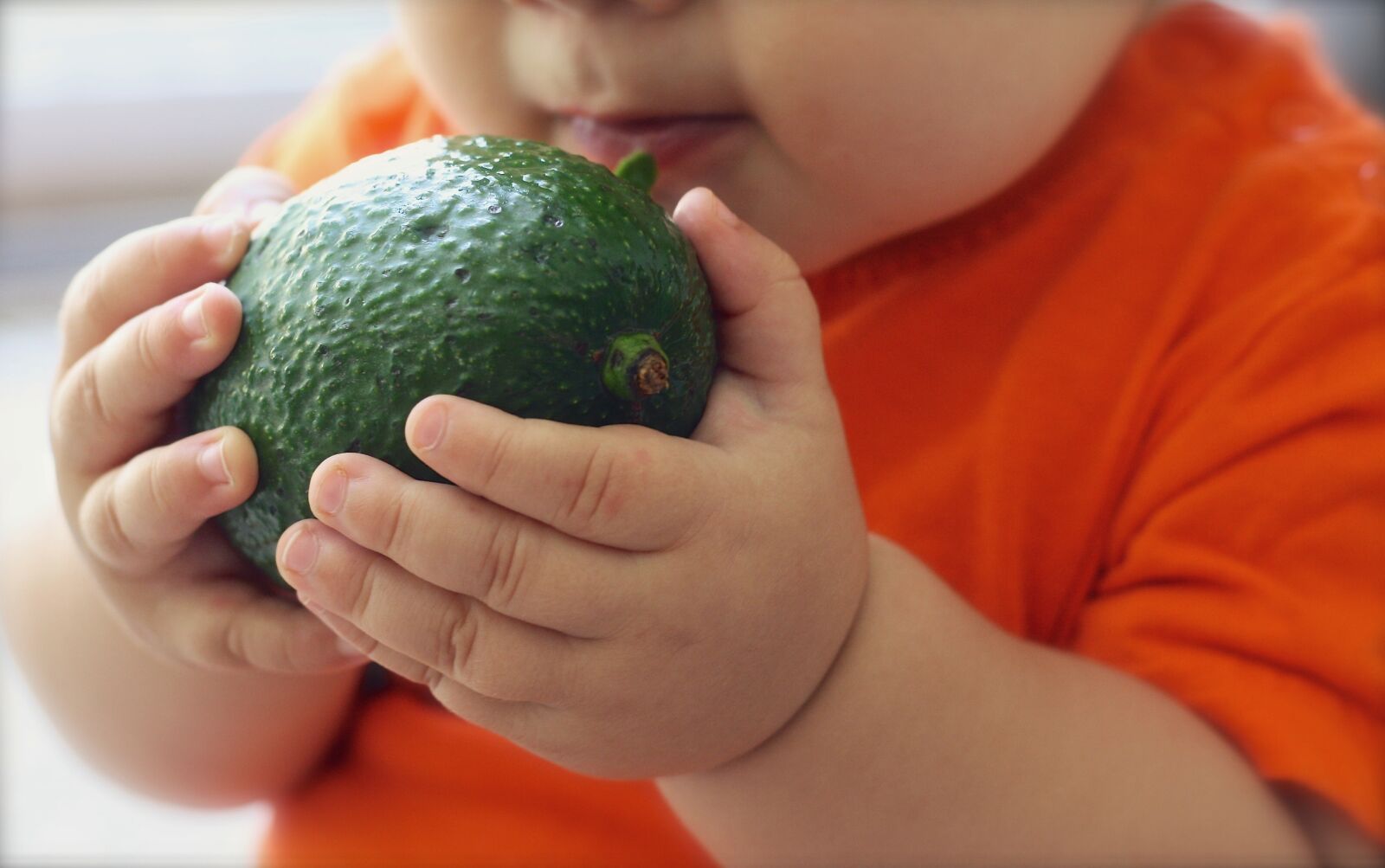 Canon EOS 1000D (EOS Digital Rebel XS / EOS Kiss F) sample photo. Avocado, fruit, baby photography