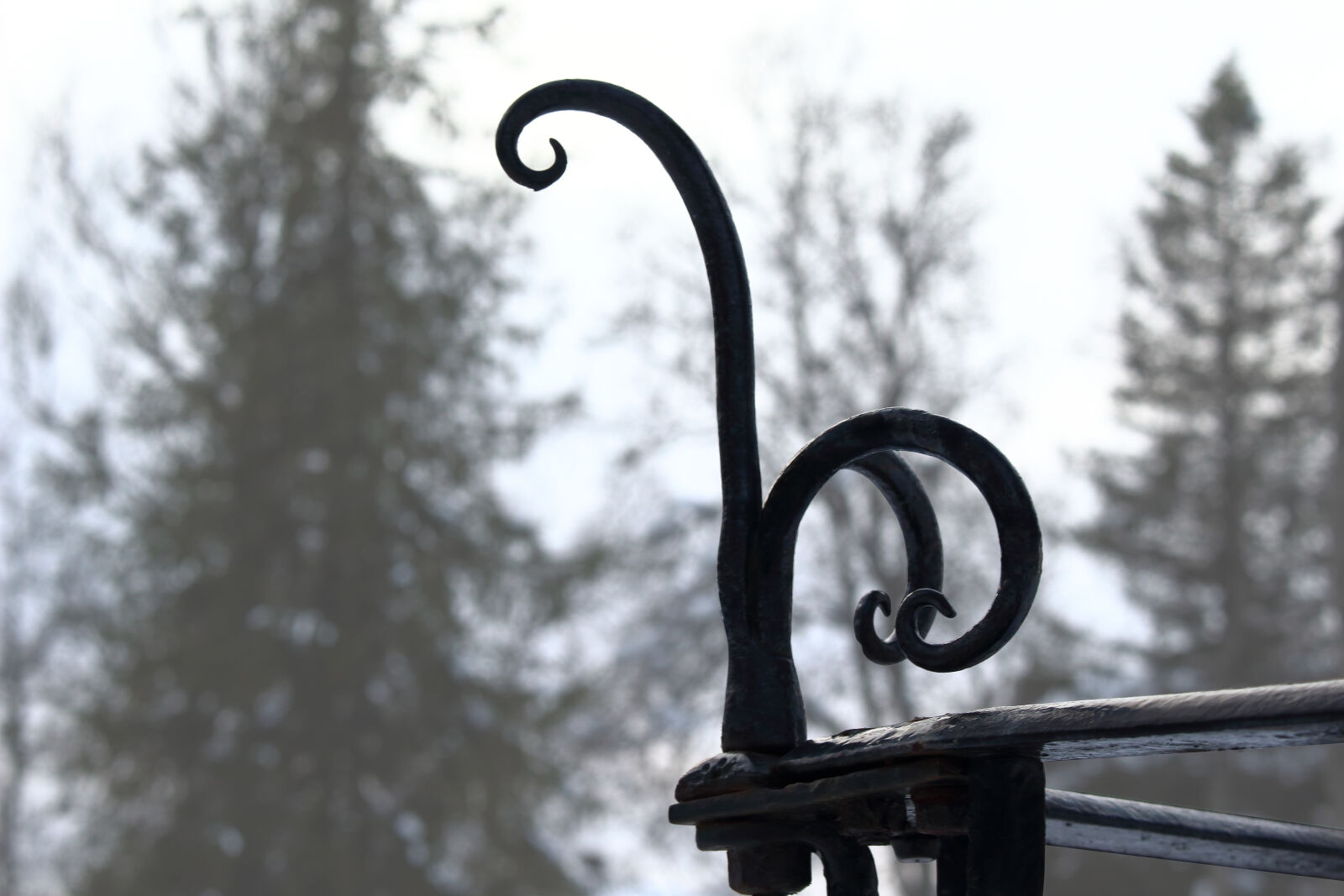 Canon EOS 700D (EOS Rebel T5i / EOS Kiss X7i) sample photo. Bird, blacksmith, cemetery, cold photography