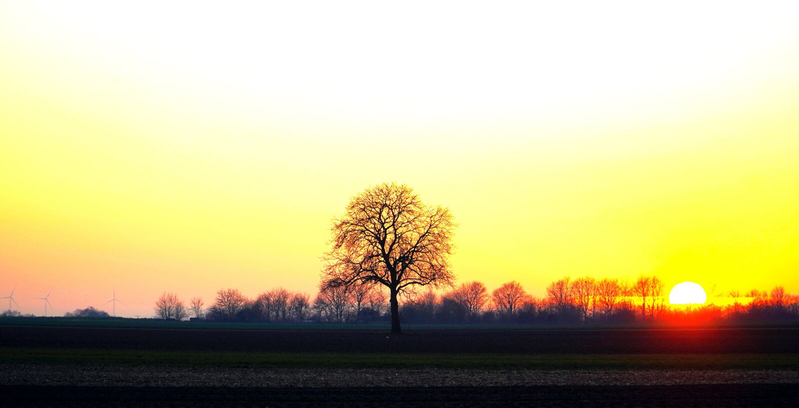 Sony E PZ 18-105mm F4 G OSS sample photo. Sunset, evening, nature photography
