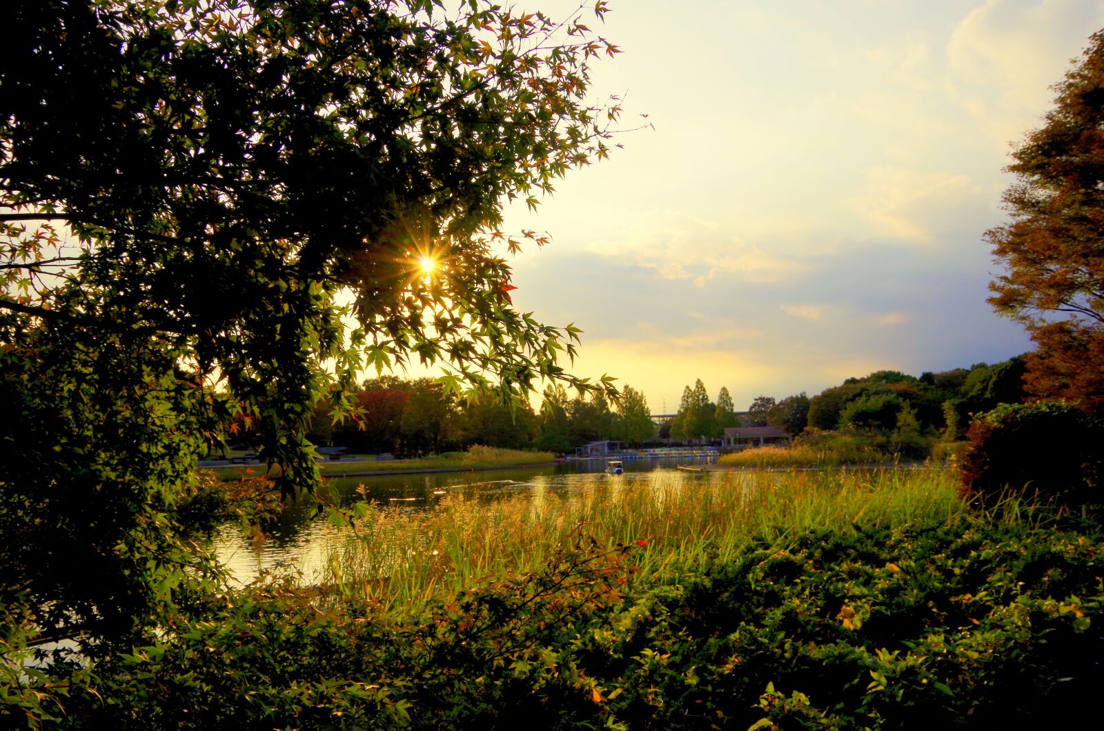 Pentax K-30 sample photo. Evening, lake, japan photography