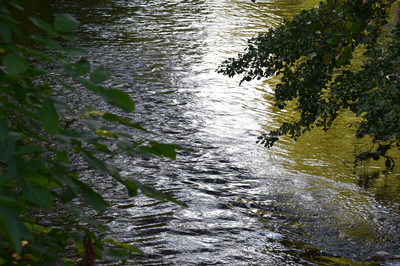 Nikon D3400 sample photo. Abendstimmung, watercourse, water photography