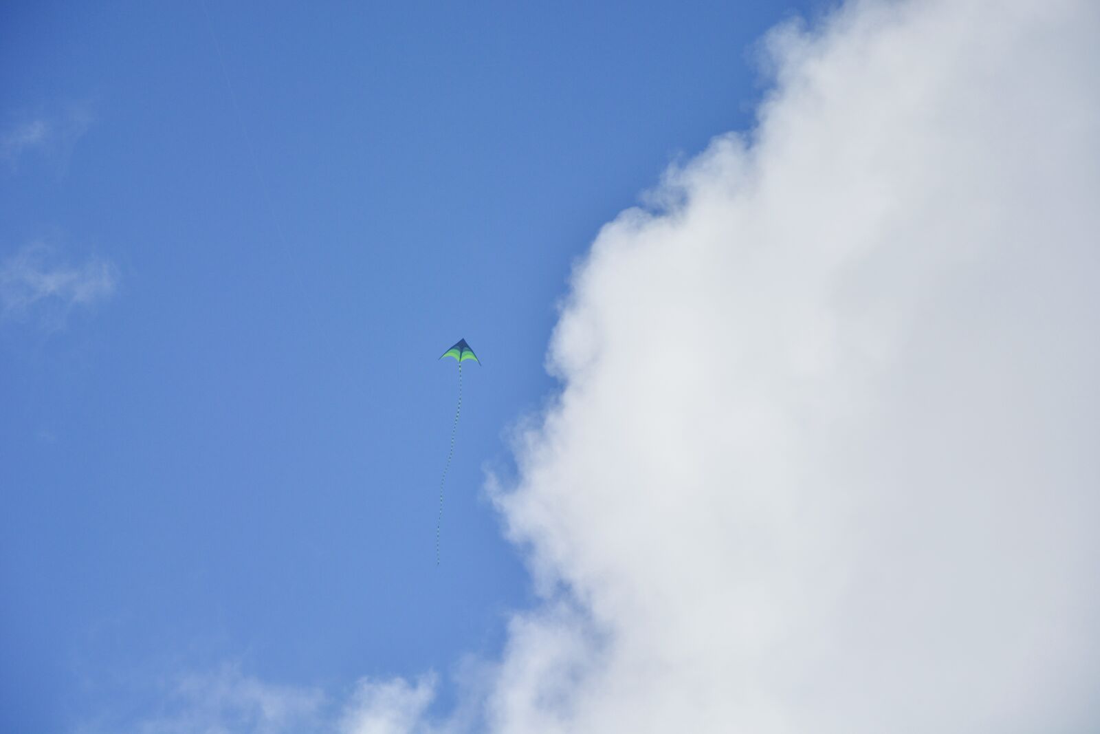 Nikon D5200 sample photo. Kite, cloud, blue sky photography