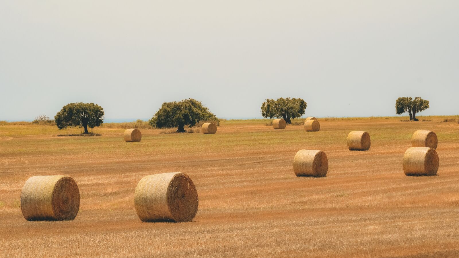 Nikon D3300 sample photo. Hay, straw, bale photography