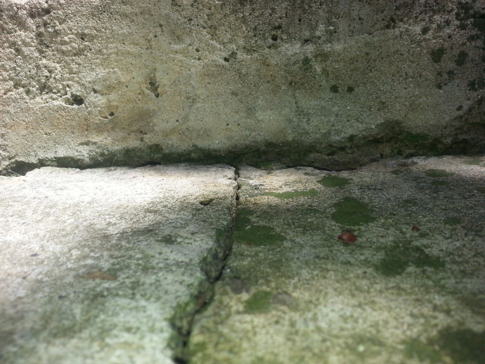 Samsung Galaxy Note2 sample photo. Green, light, line, shadow photography