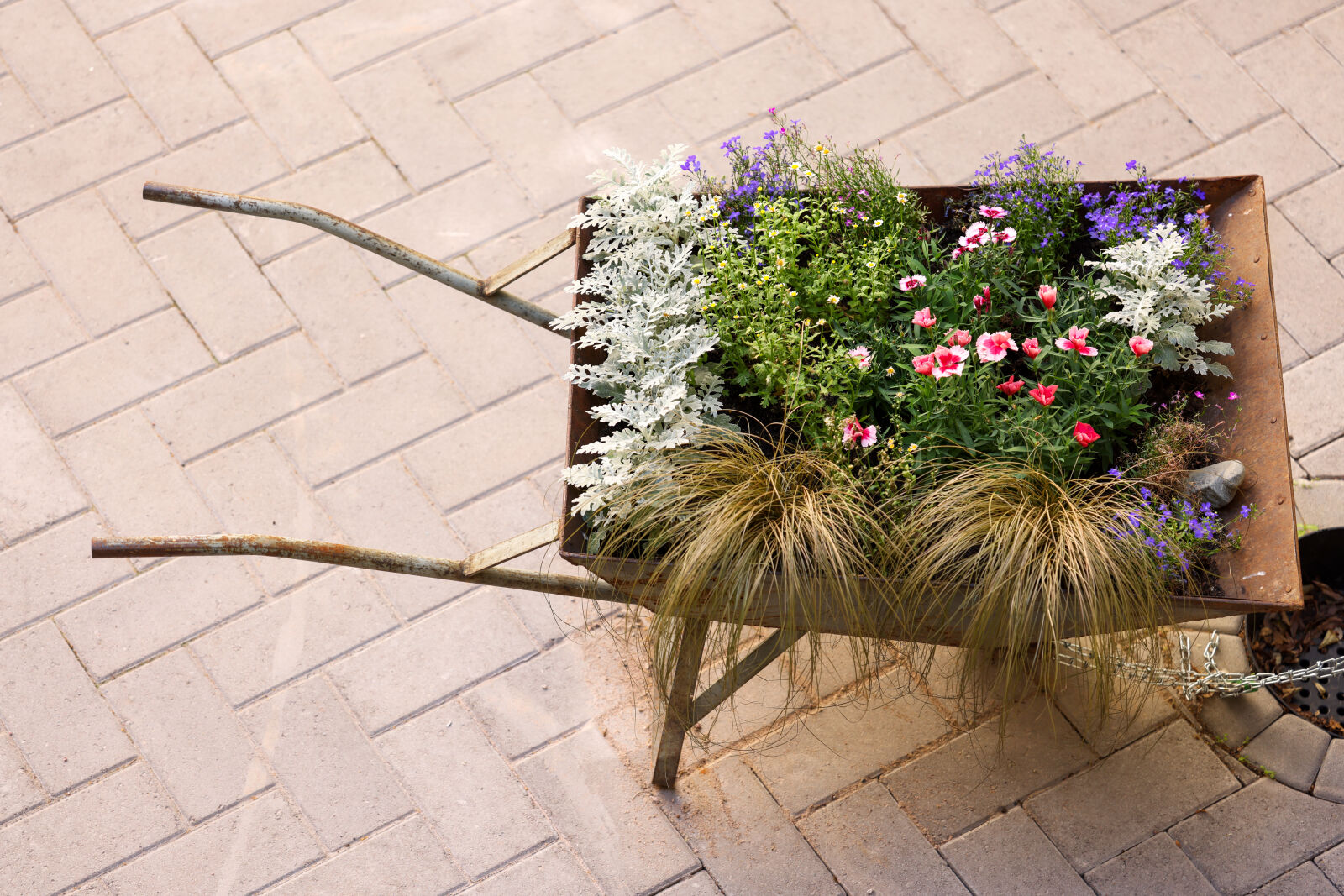 Canon RF 100mm F2.8L Macro IS USM sample photo. Wheelbarrow flowerpot photography