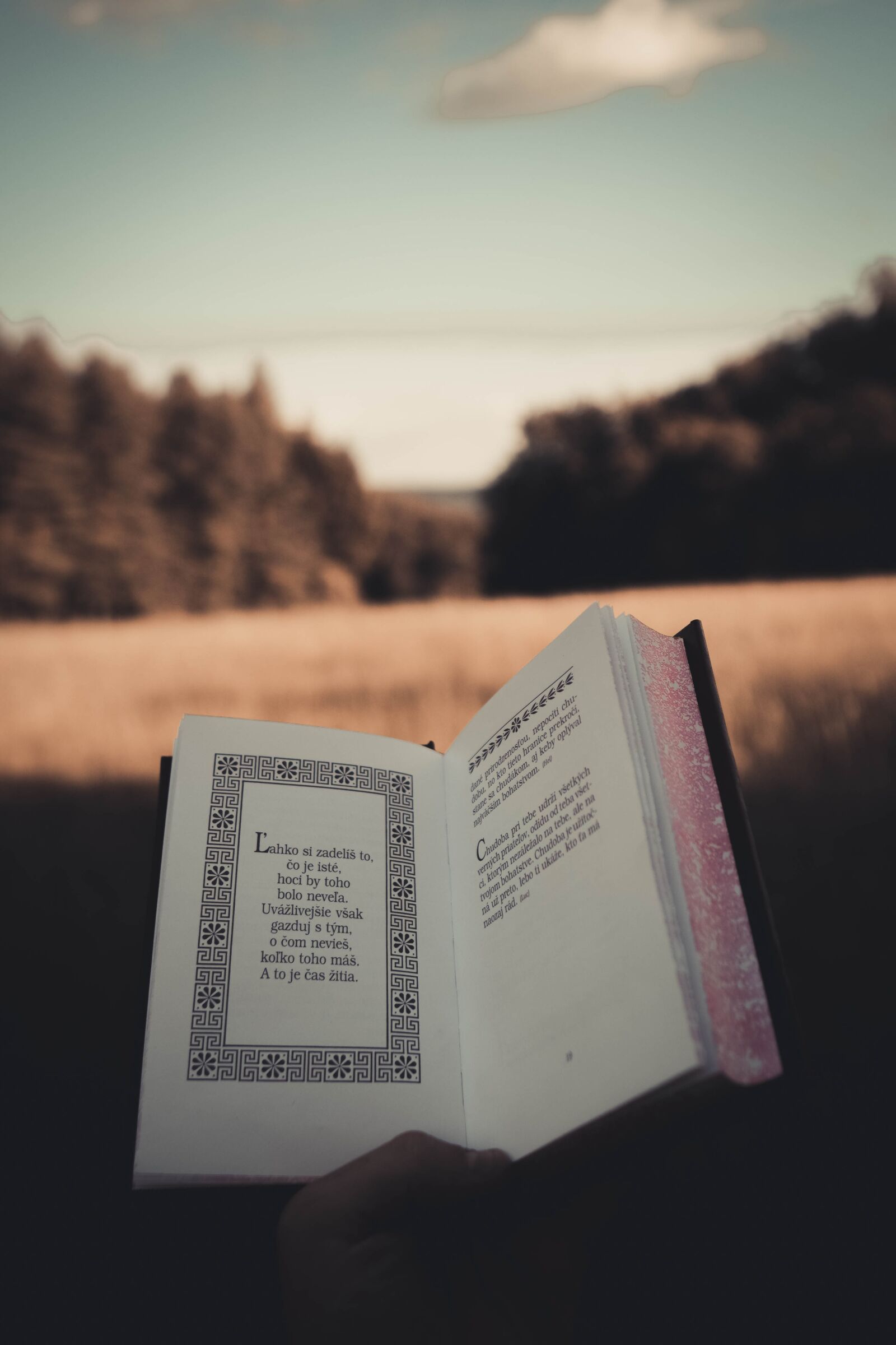 Sony a6400 + Sigma 16mm F1.4 DC DN | C sample photo. Stocizmus, philosophy, book photography